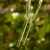 DSC06616-Photoroom.webp
