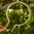 DSC06611-Photoroom.webp