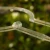 DSC06612-Photoroom.webp