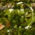 DSC06630-Photoroom.webp