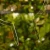 DSC06631-Photoroom.webp