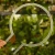 DSC06627-Photoroom.webp