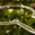 DSC06628-Photoroom.webp