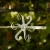 DSC06688.webp