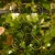 DSC06697.webp