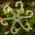 DSC06699-Photoroom.webp