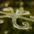 DSC06700-Photoroom.webp