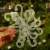DSC06701-Photoroom.webp
