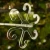 DSC06702-Photoroom.webp