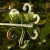 DSC06702.webp