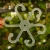 DSC06703-Photoroom.webp