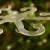 DSC06704-Photoroom.webp