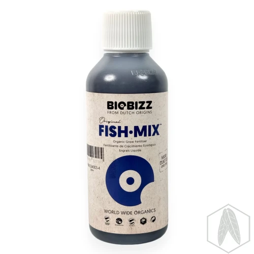 Fish (1).webp