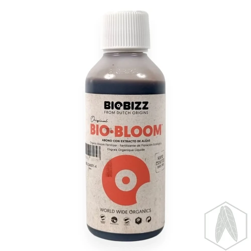 BBloom (1).webp