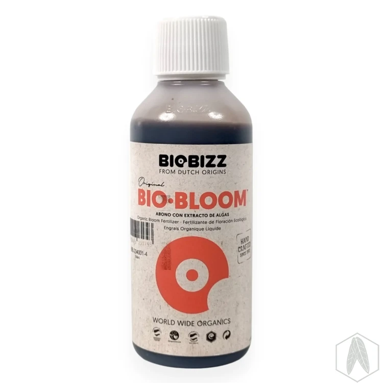 BBloom (1).webp