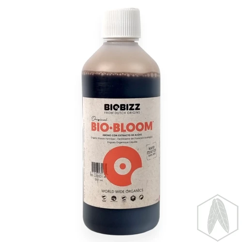 BBloom (2).webp
