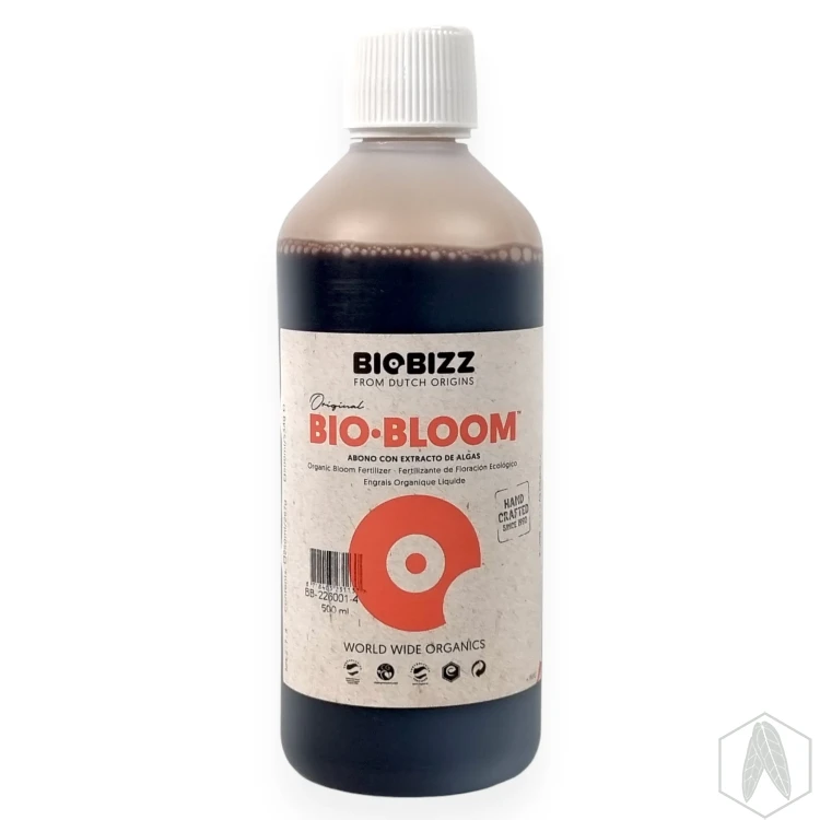 BBloom (2).webp