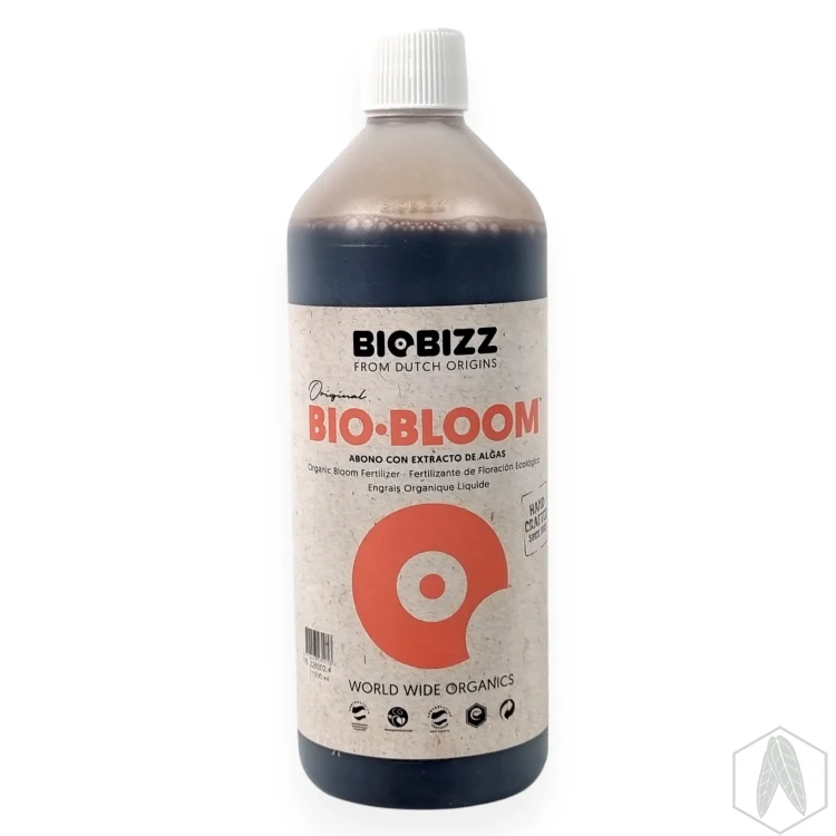 BBloom (3).webp