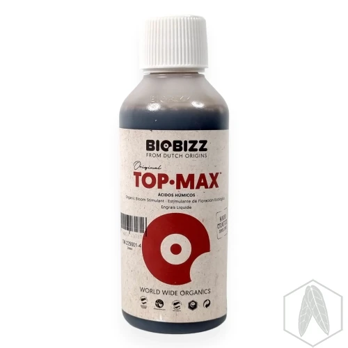 Top (1).webp