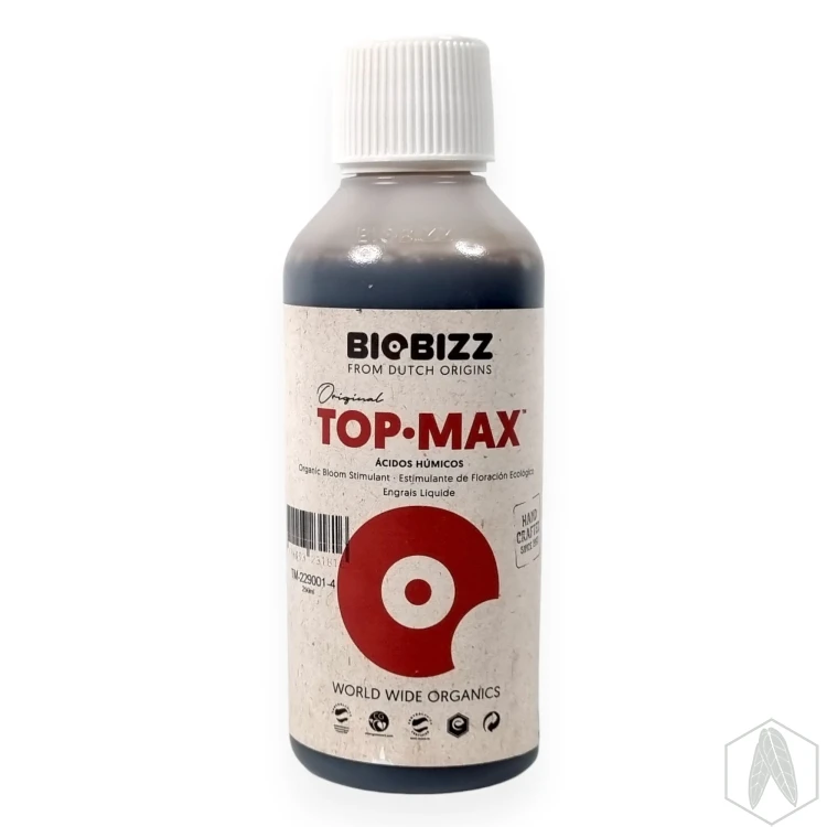 Top (1).webp
