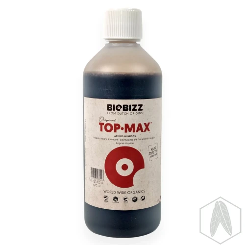 Top (2).webp