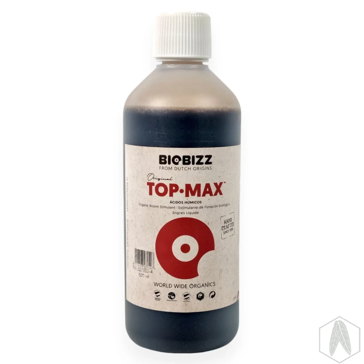 Top (2).webp