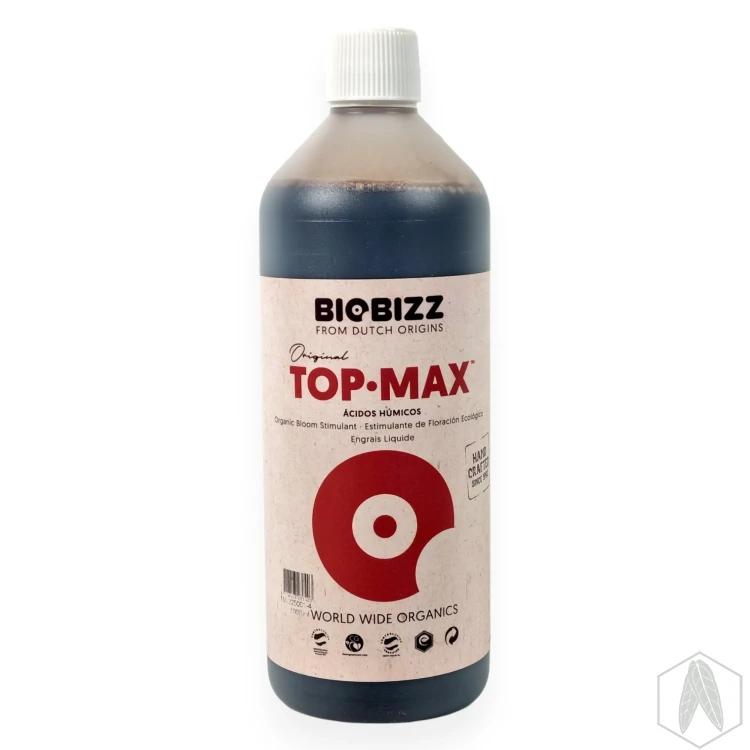 Top (3).webp