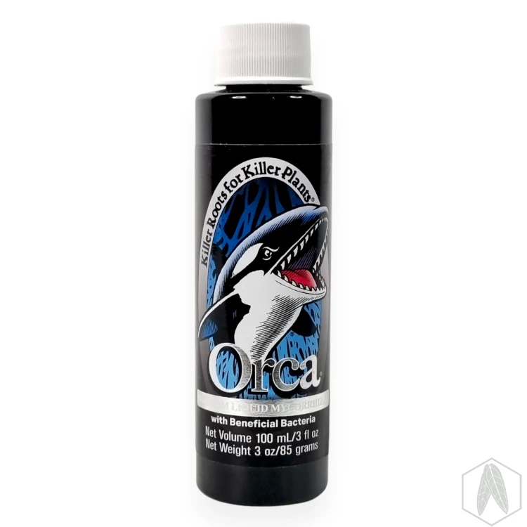 Orca (1).webp