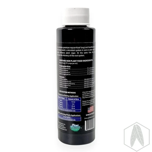Orca (2).webp
