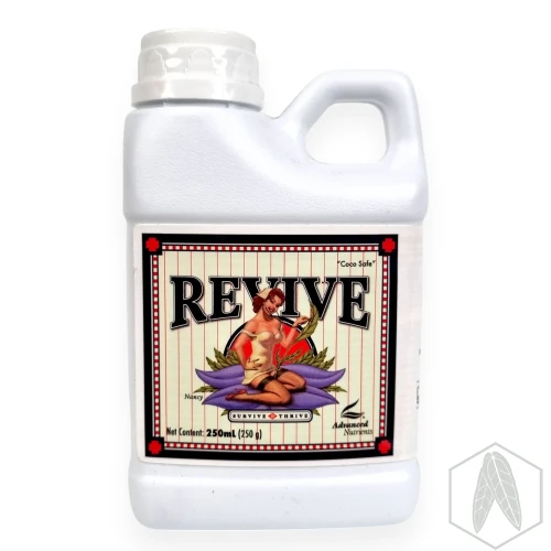 Revive (1).webp