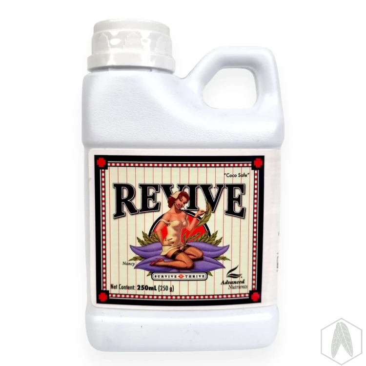Revive (1).webp