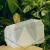 DSC06807.webp