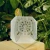 DSC06809.webp