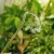 DSC06910.webp