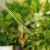 DSC06914.webp