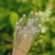 DSC06905.webp