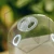 DSC06889.webp