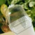 DSC06892.webp