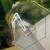 DSC06899.webp