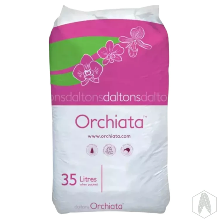Orchiata 35.webp