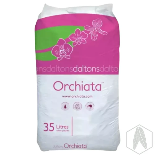 Orchiata 35.webp