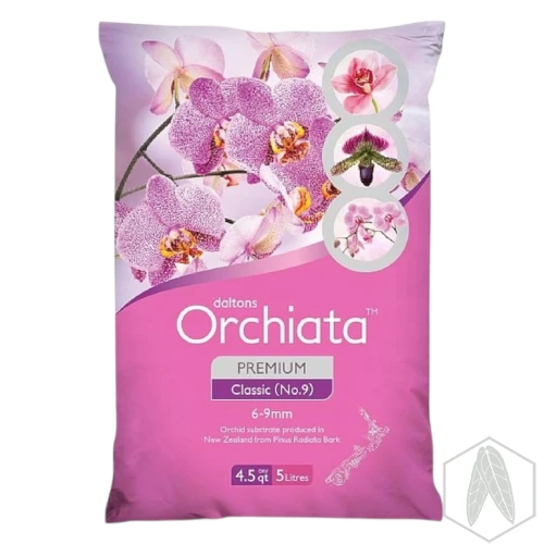 Orchiata.webp