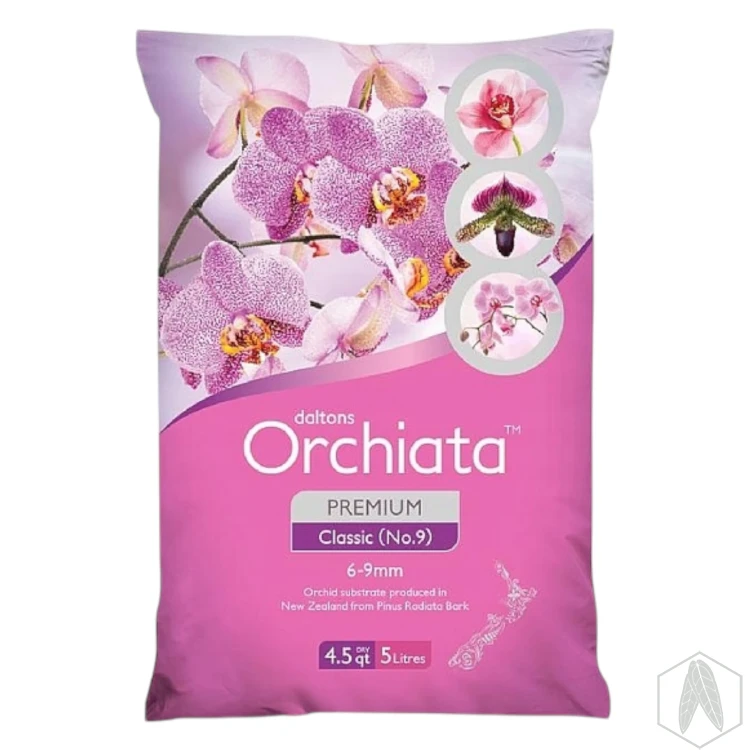 Orchiata.webp