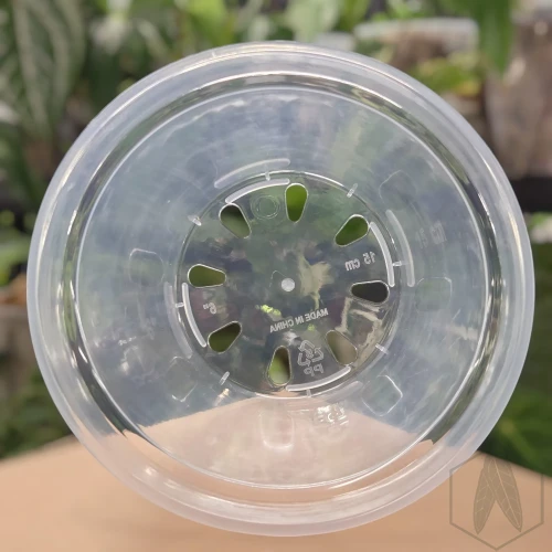 Plastikowa gruba okrągła doniczka 15cm  (2).webp