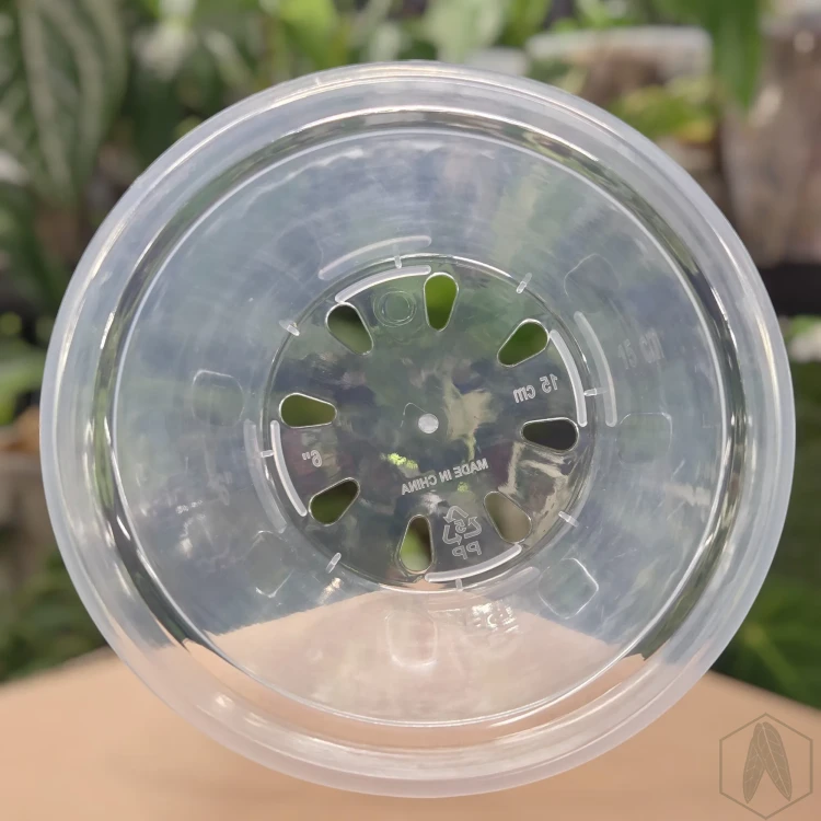 Plastikowa gruba okrągła doniczka 15cm  (2).webp