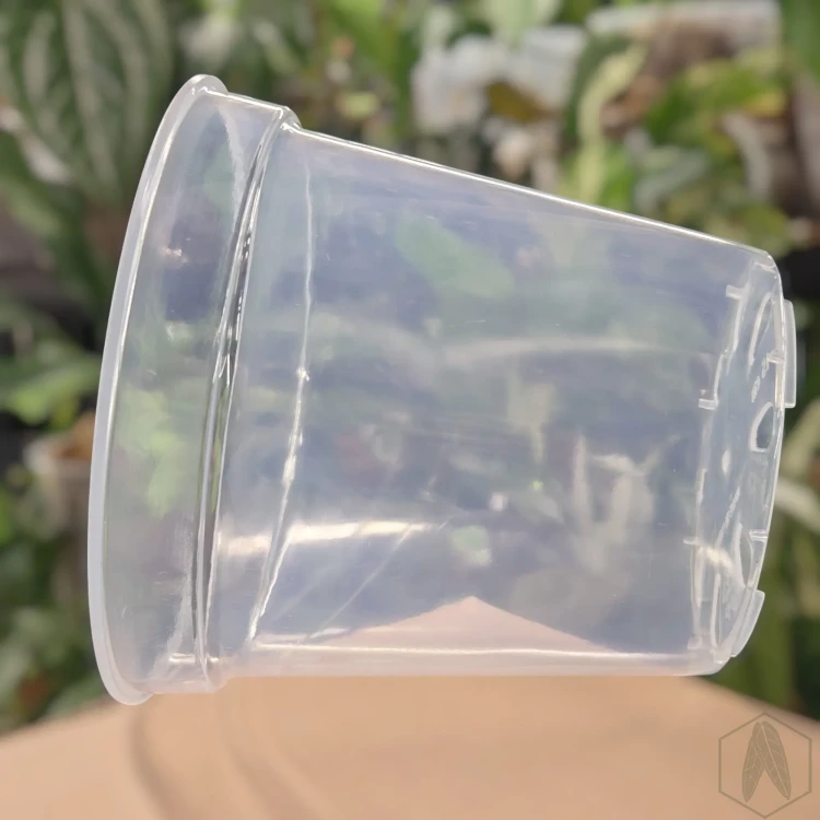 Plastikowa gruba okrągła doniczka 15cm  (3).webp