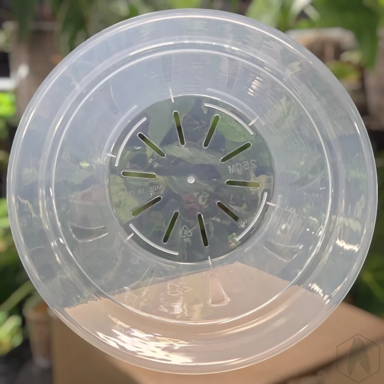 Plastikowa gruba okrągła doniczka 25cm  (2).webp