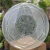 Plastikowa gruba okrągła doniczka 30cm (2).webp