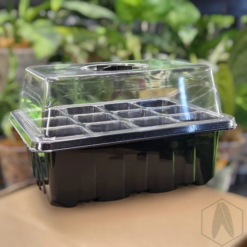 Propagator miniszklarenka na rośliny, siewki 18x15x6 cm (1).webp
