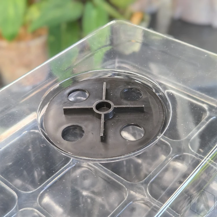 Propagator miniszklarenka na rośliny, siewki 18x15x6 cm (2).webp